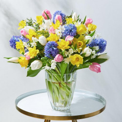 Deluxe Scented Spring Meadow Deluxe Scented Spring Meadow